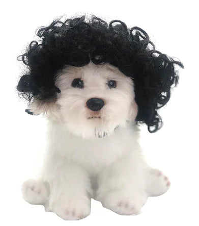 VersaStyle Costume Wigs