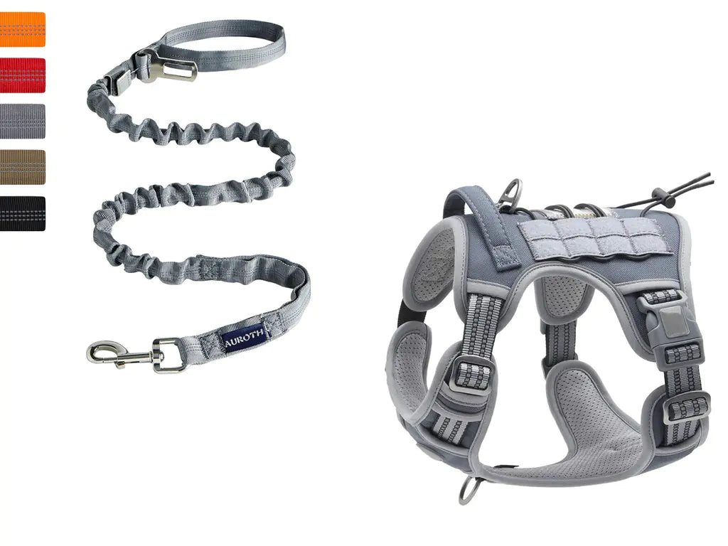 Reflective Tactical Pet Leash for Outdoor Training