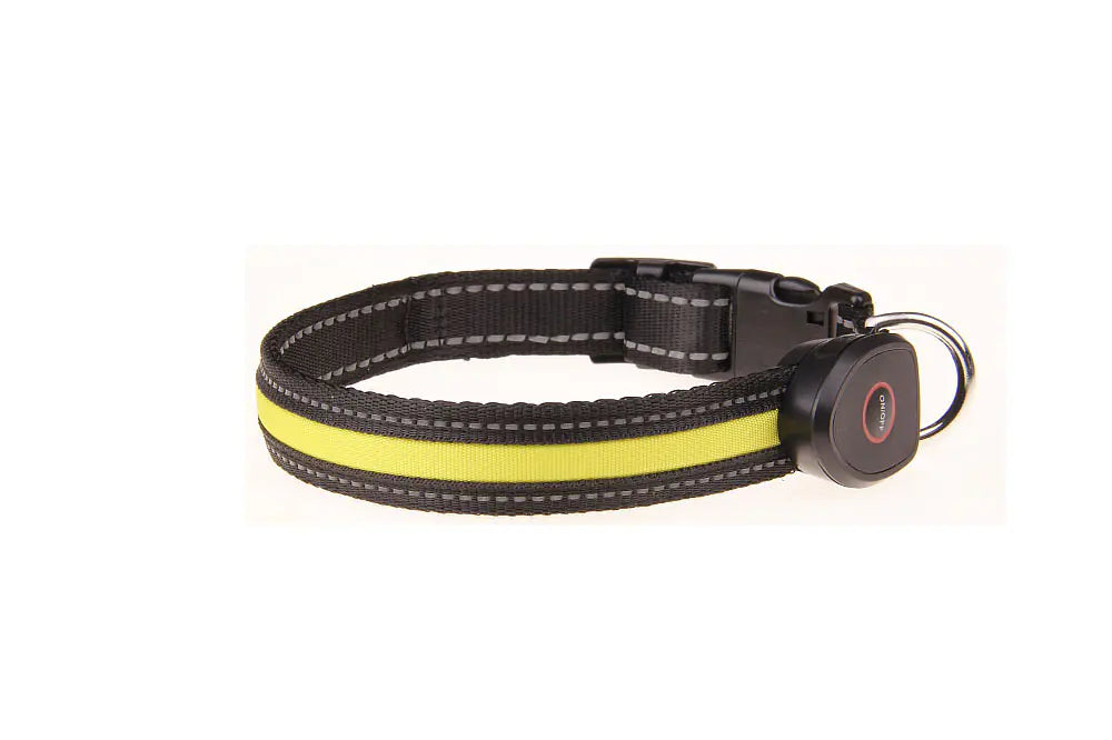 NightLight USB Dog Collar