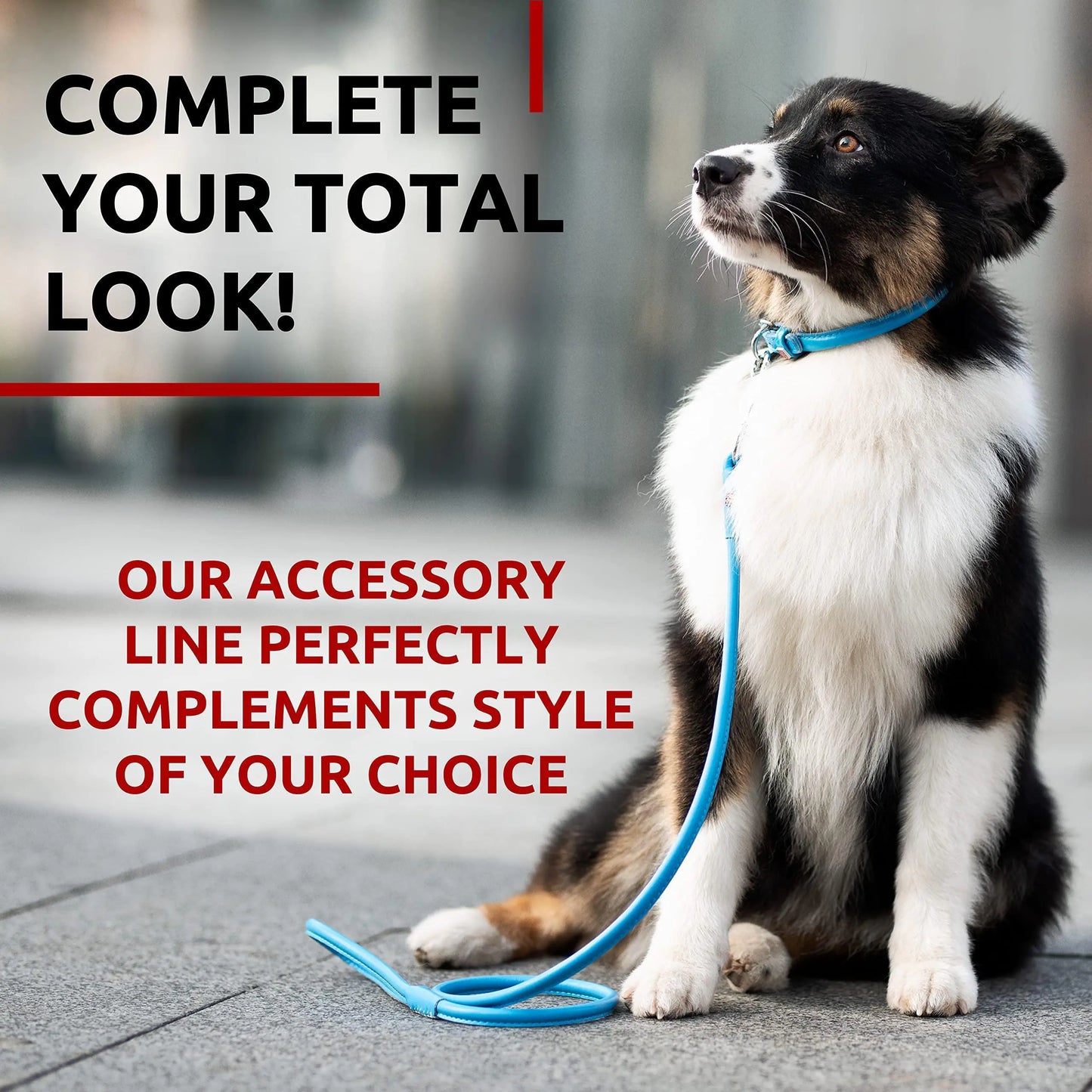 Vibrant Rolled Leather 6Ft Dog Leash