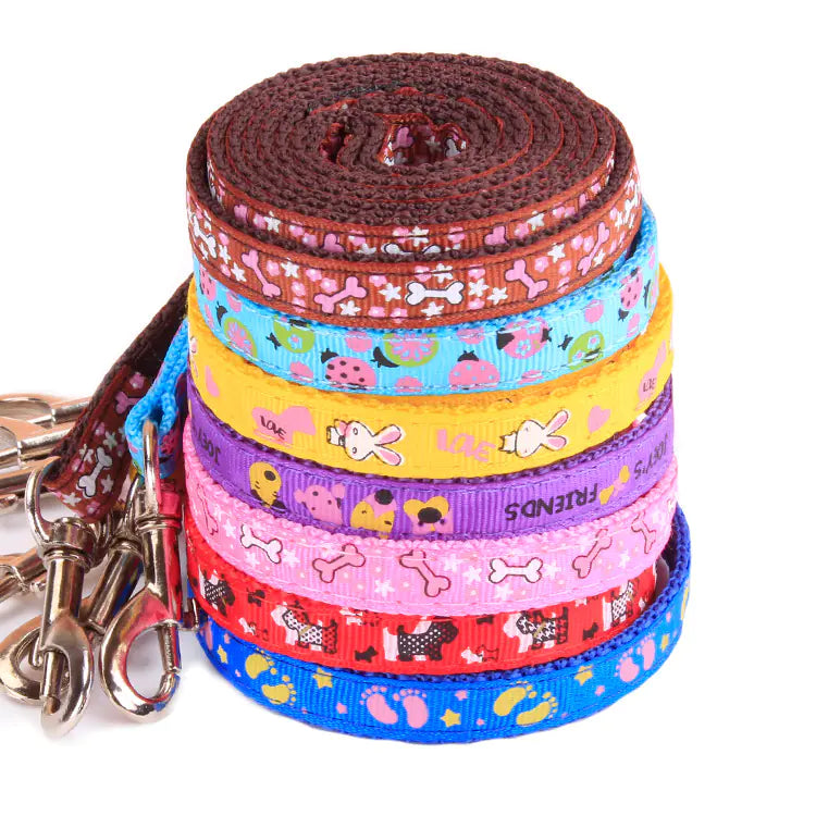 Outdoor Adventure Pet Leash Set