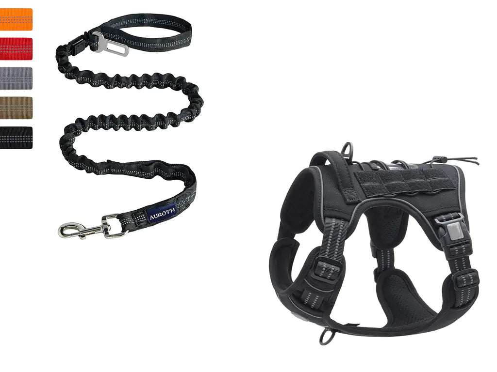 Reflective Tactical Pet Leash for Outdoor Training