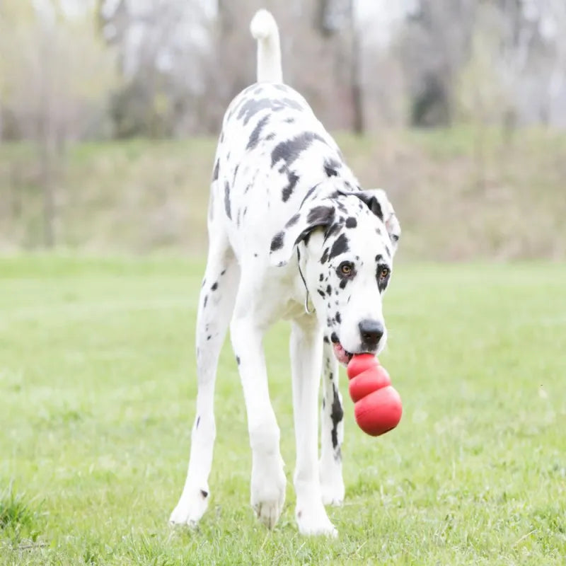 Gourd Treat Dispenser Tough Dog Toy