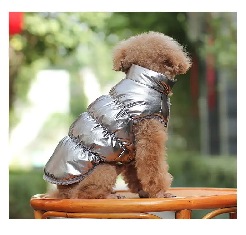 Chaleco de peluche cálido para cachorros de invierno y ropa para gatos