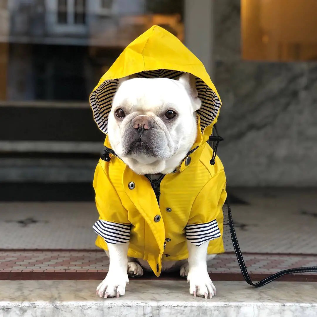 Vintage Style Waterproof Dog Coat