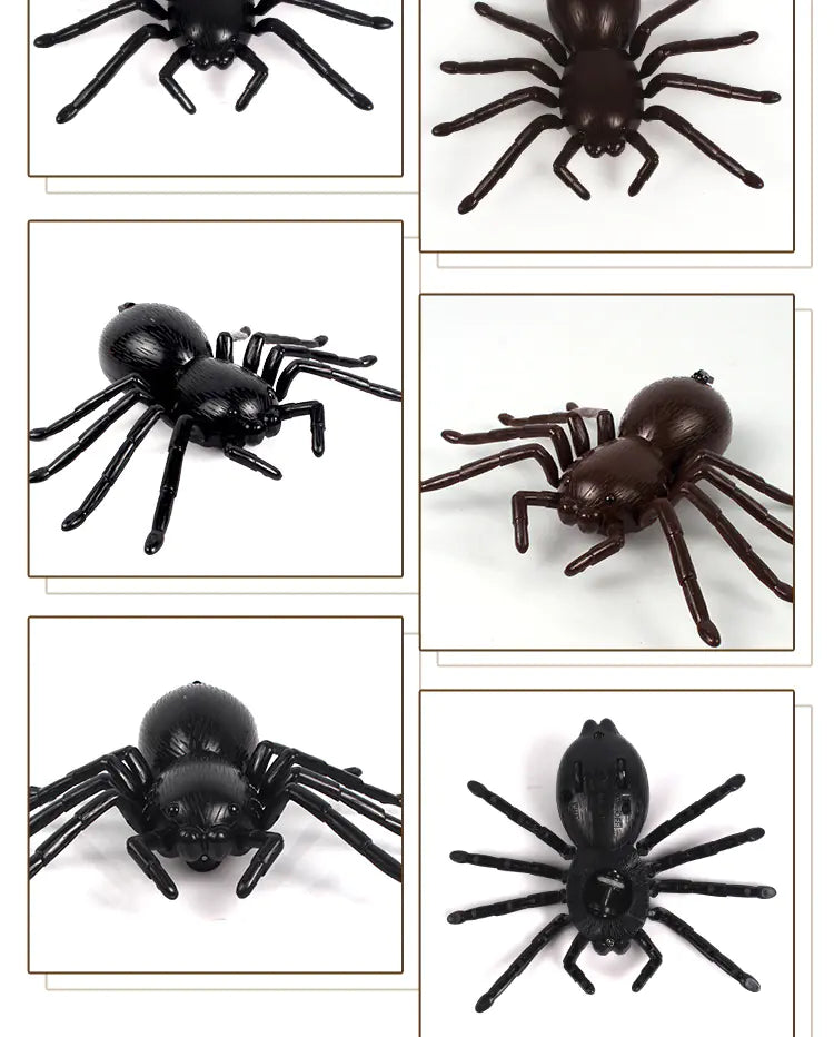 Realistic RC Spider Companion Toy
