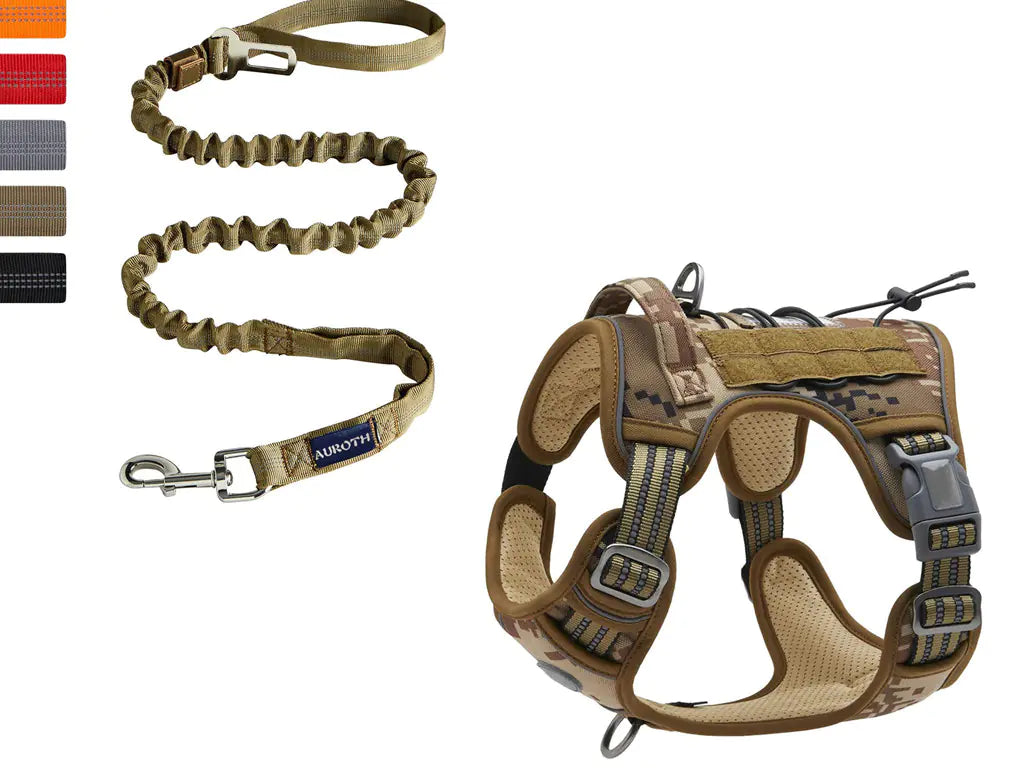 Reflective Tactical Pet Leash for Outdoor Training