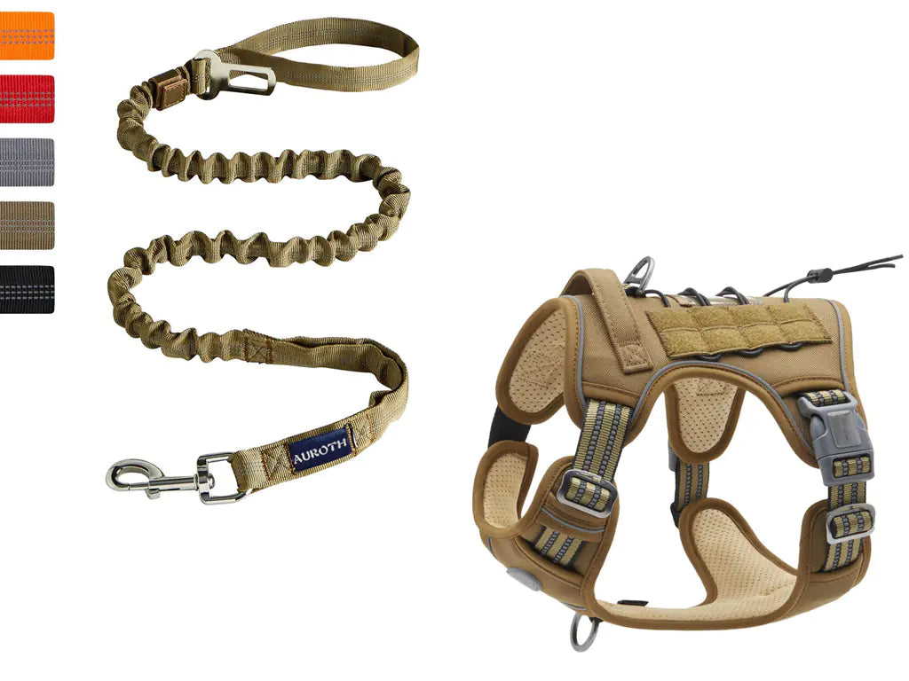 Reflective Tactical Pet Leash for Outdoor Training