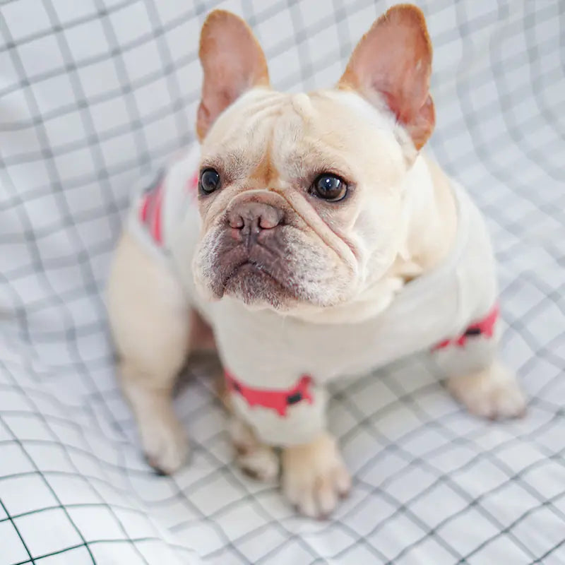 Stylish Pug and Bulldog Tee