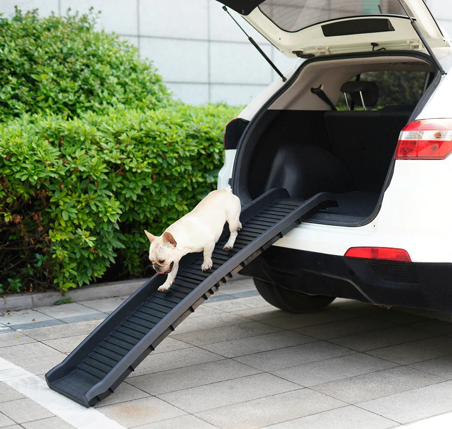 SafeStep Pet Folding Ramp