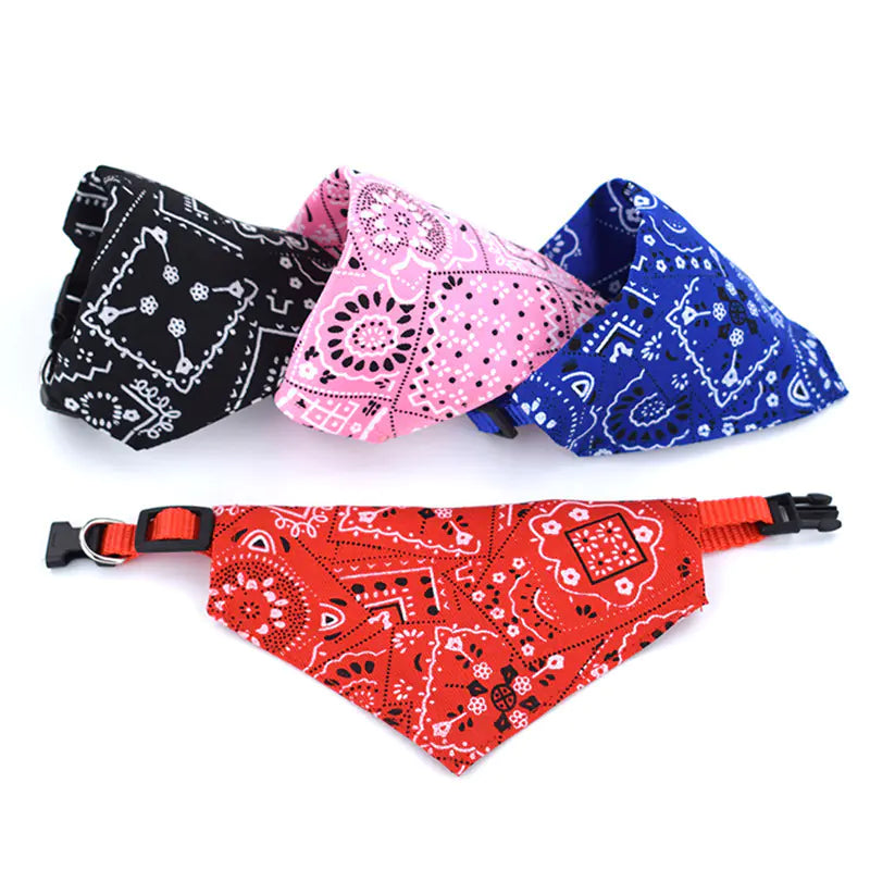 Stylish Triangle Pet Collar