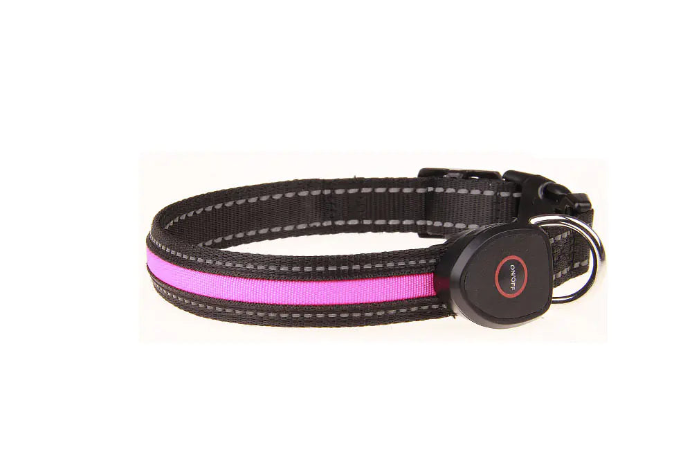 NightLight USB Dog Collar