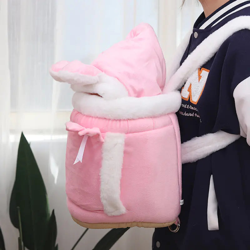 Stylish Cat Travel Bed Combo