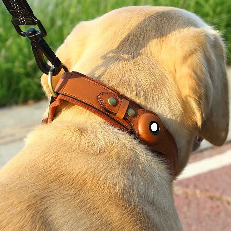 Premium Leather GPS Dog Collar