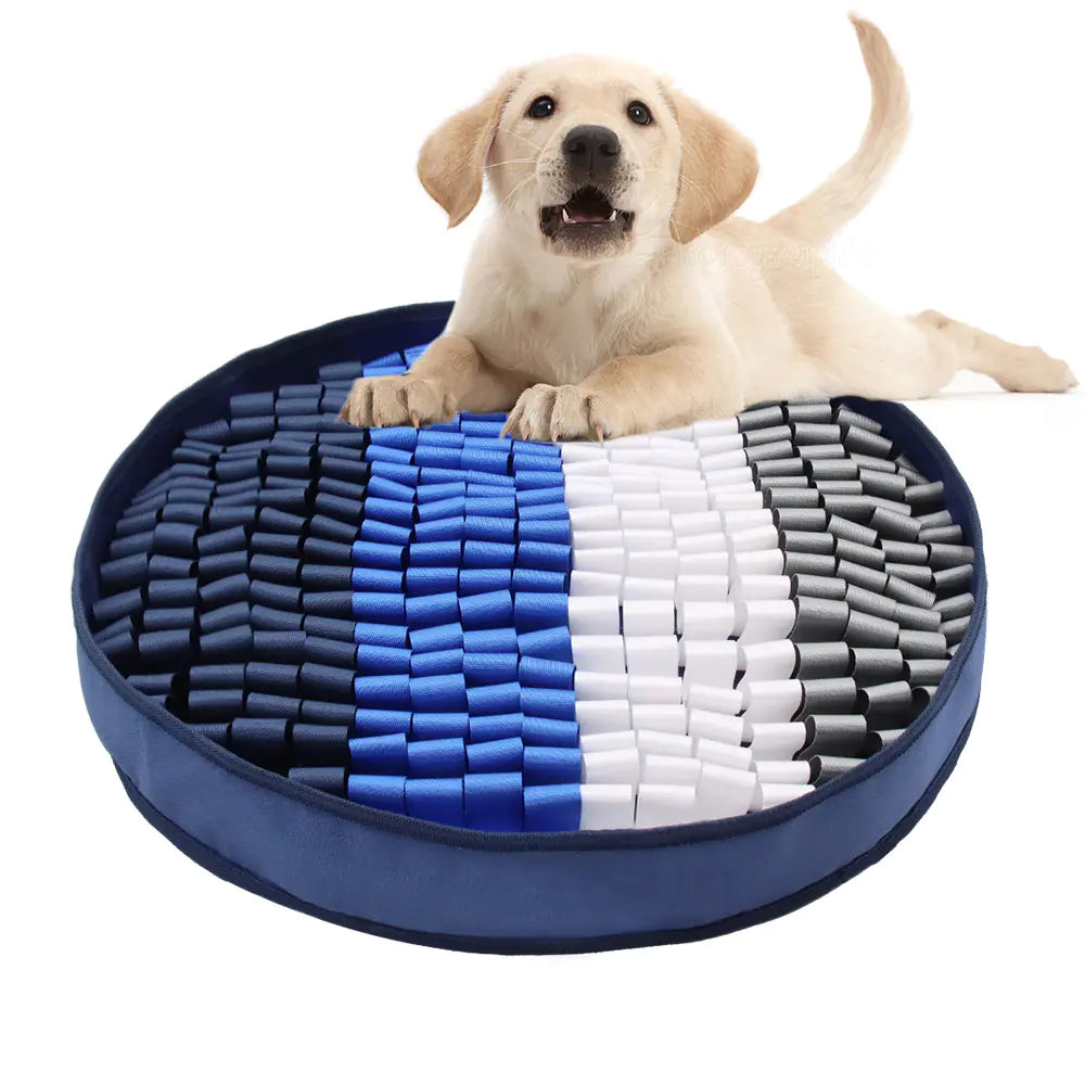 Sniff Play Mat for Pets