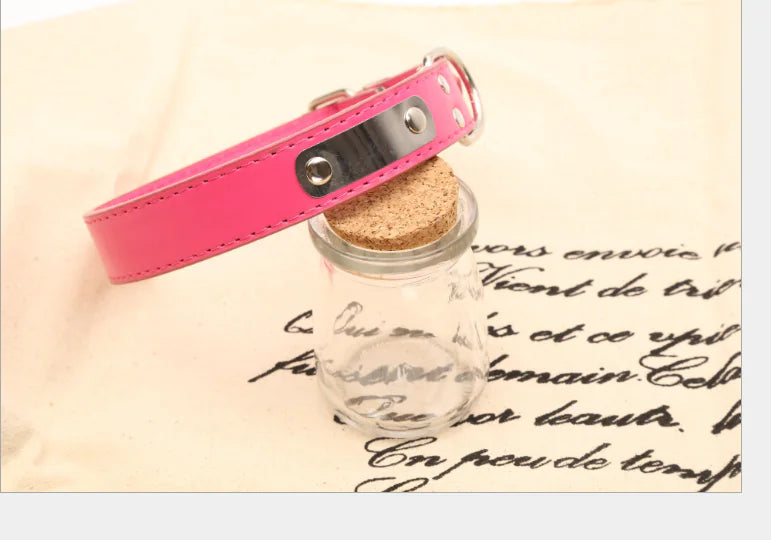 Tailor-Made Pet Collars