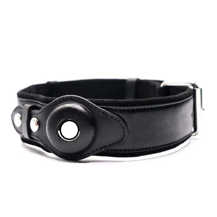 Premium Leather GPS Dog Collar