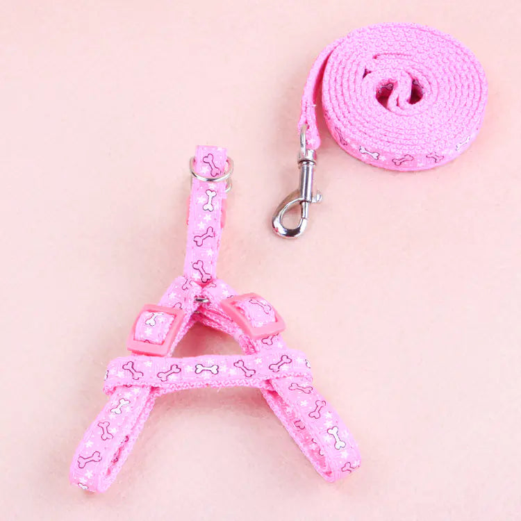 Outdoor Adventure Pet Leash Set