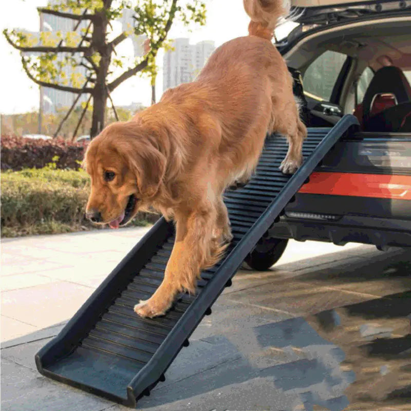 SafeStep Pet Folding Ramp