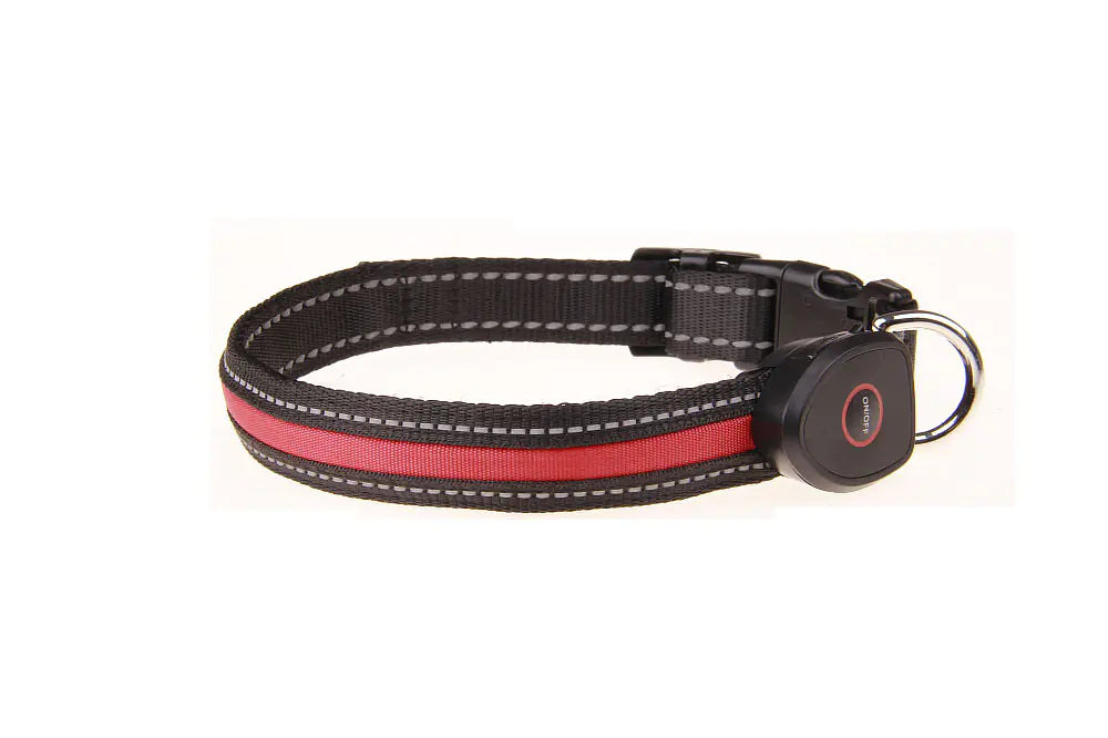 NightLight USB Dog Collar