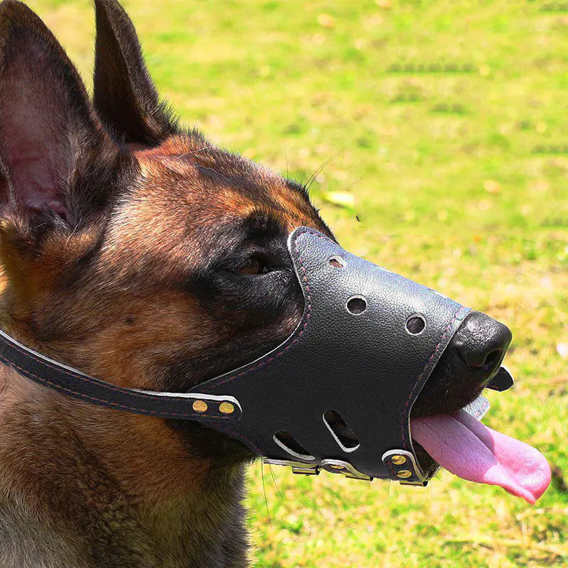 SafeStyle Bite & Bark Preventer for Dogs