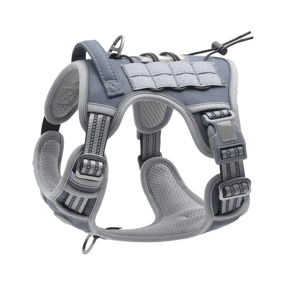 Reflective Tactical Pet Leash for Outdoor Training