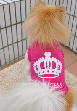 Small Dog Summer Crown Vest