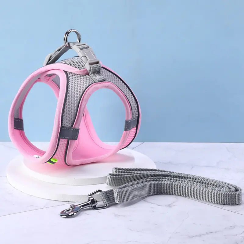 Reflective Safety Pet Harness Combo