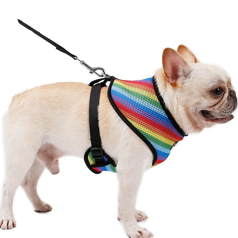 Rainbow Comfort Strap