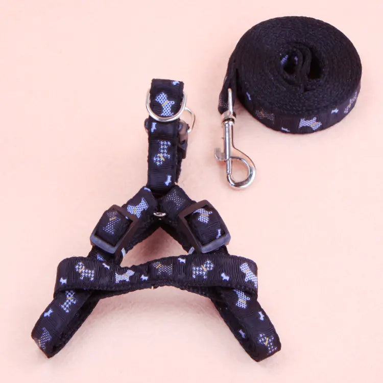 Outdoor Adventure Pet Leash Set