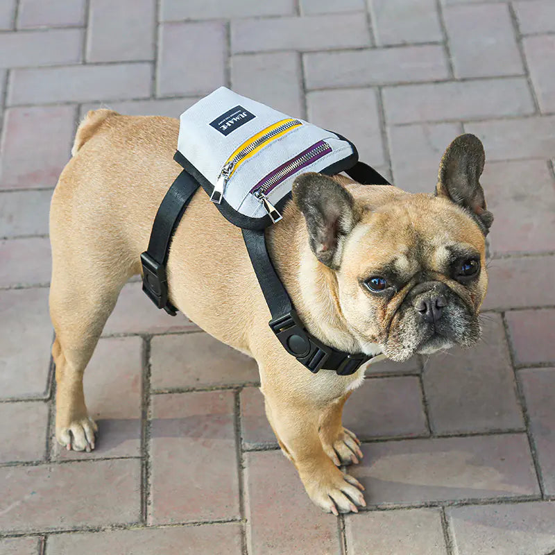Pet Dog Travel Backpack for Outdoor Adventures