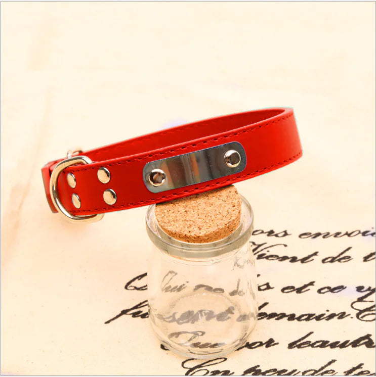 Tailor-Made Pet Collars