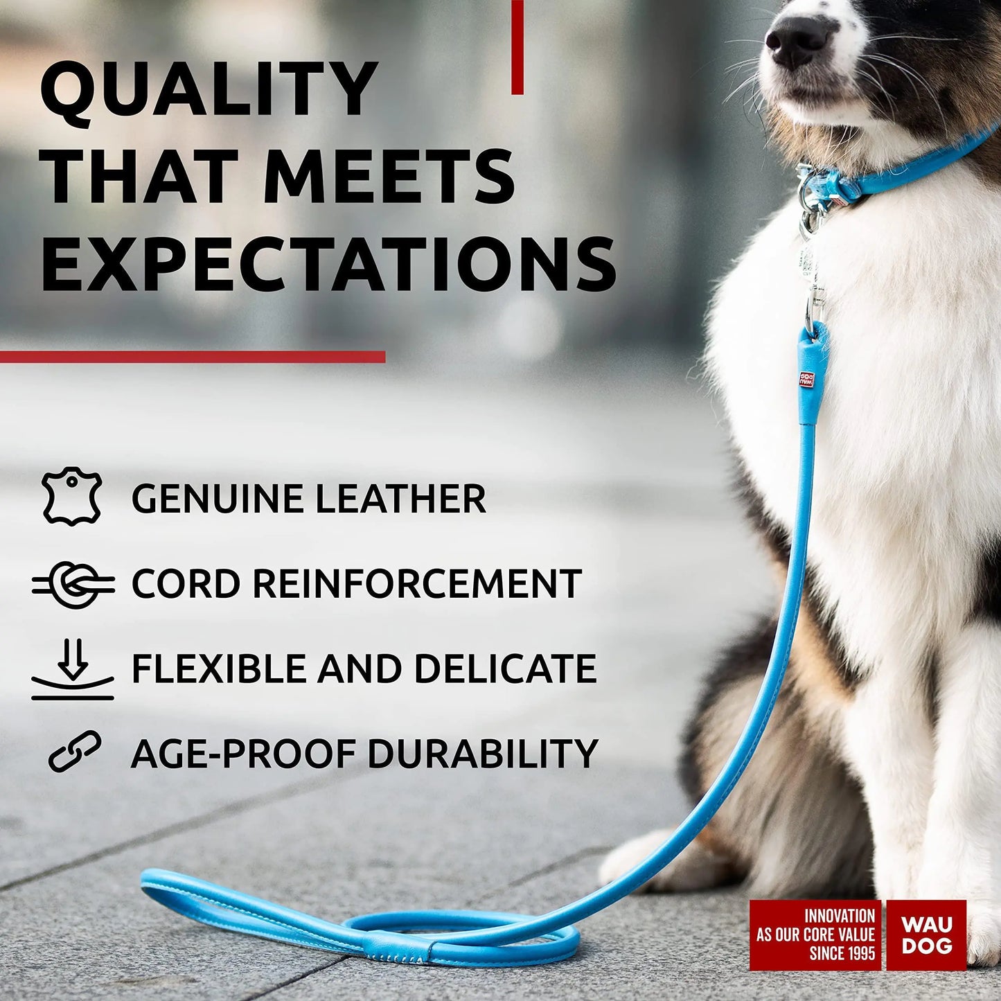 Vibrant Rolled Leather 6Ft Dog Leash