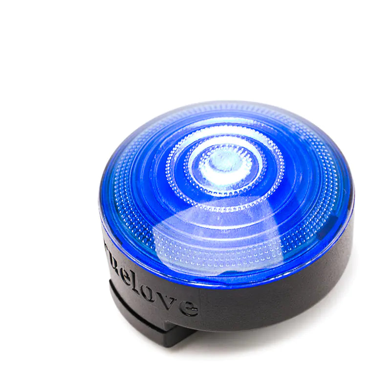 Night-time LED Safety Dog Collar