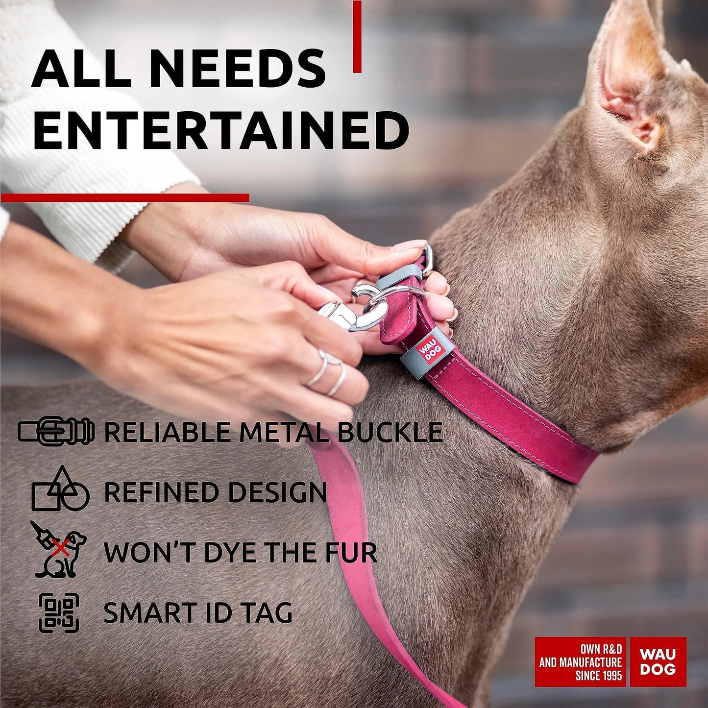 Pink Durable Leather Collar for Medium Dogs