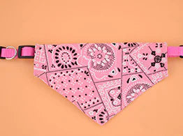 Stylish Triangle Pet Collar
