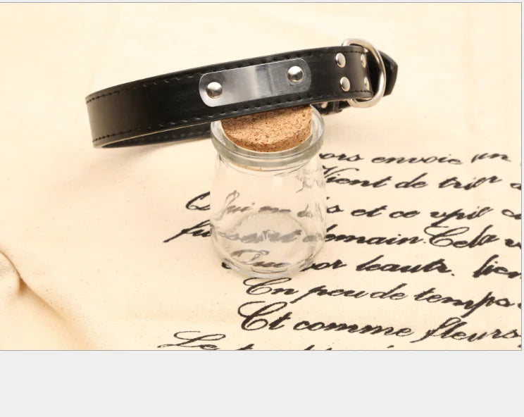 Tailor-Made Pet Collars