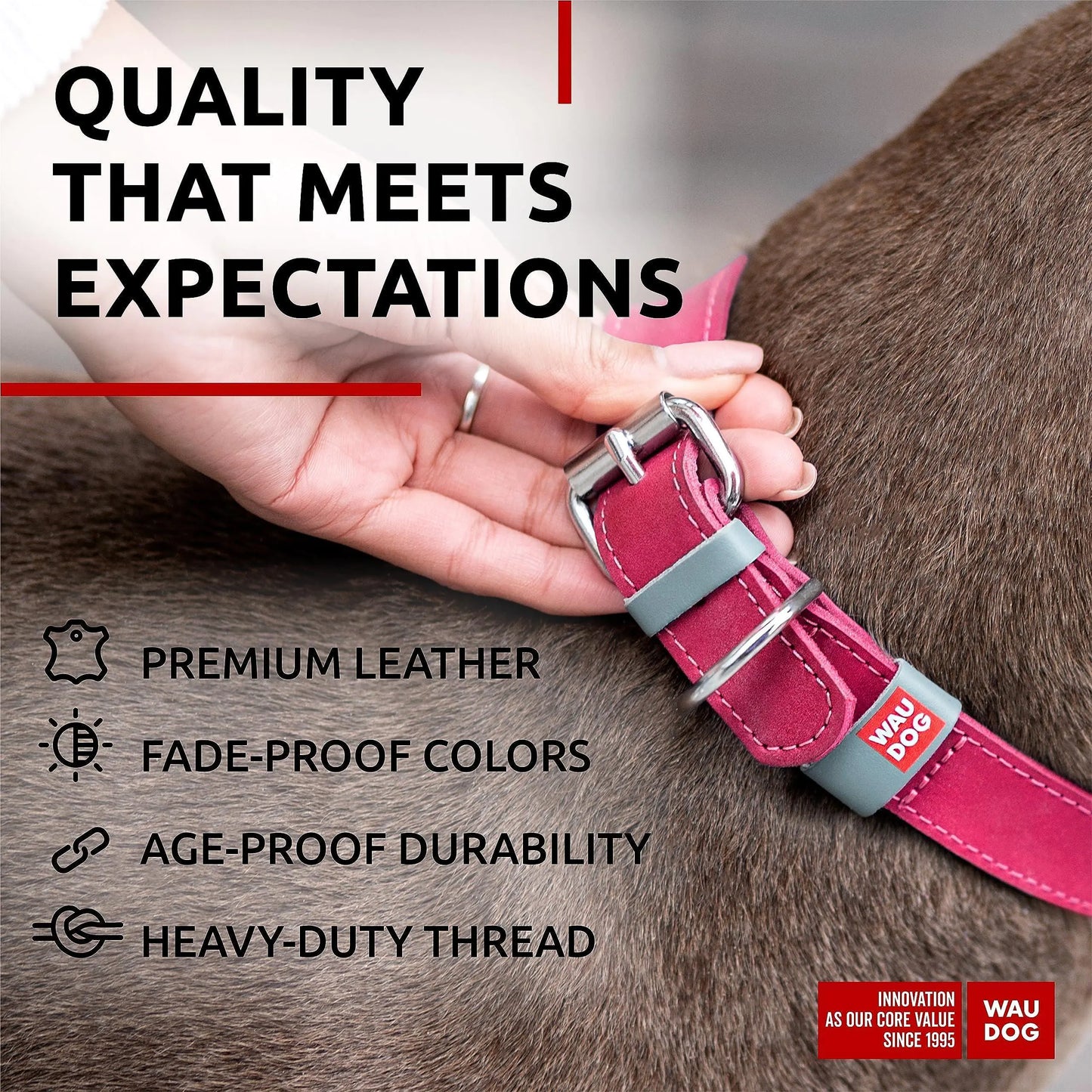 Pink Durable Leather Collar for Medium Dogs