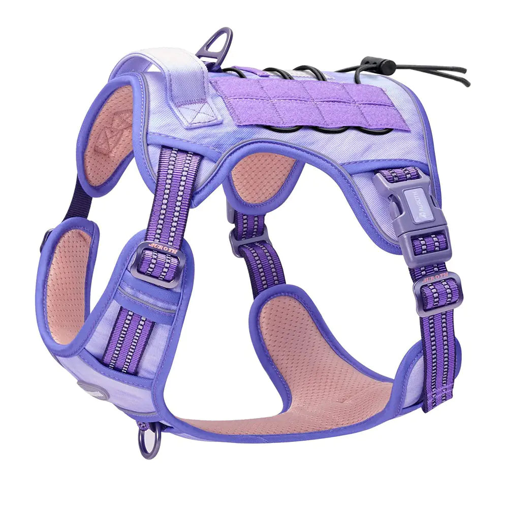 Reflective Tactical Pet Leash for Outdoor Training