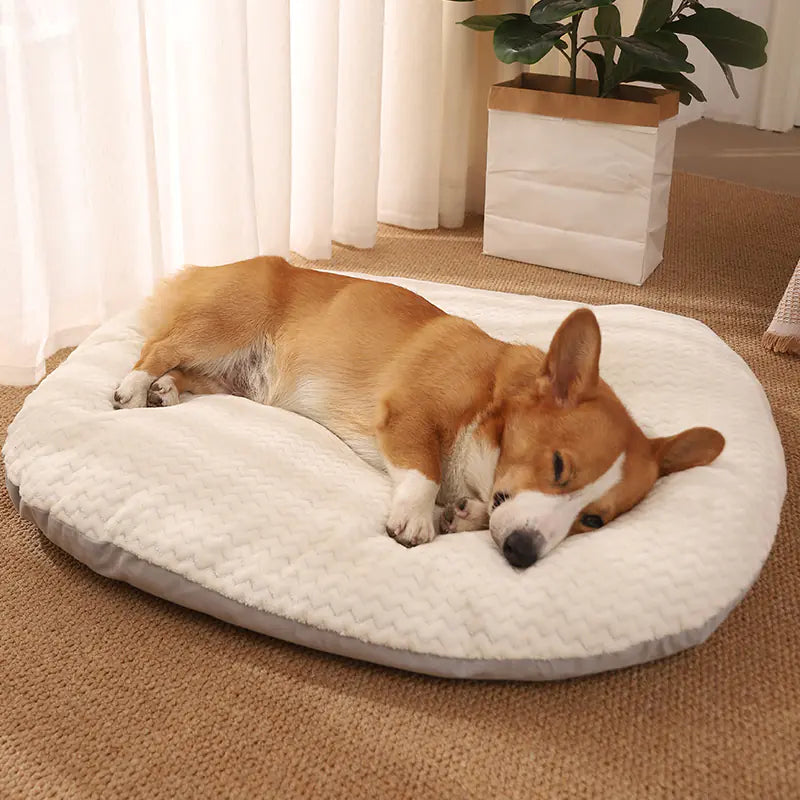 Colchoneta para dormir para perros: cómoda almohadilla para el suelo