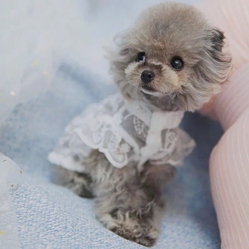Chic Pet Sun Protective Skirt