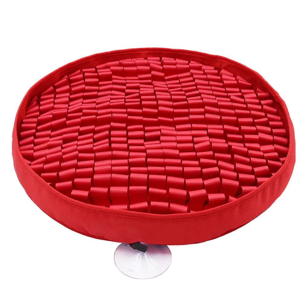 Sniff Play Mat for Pets