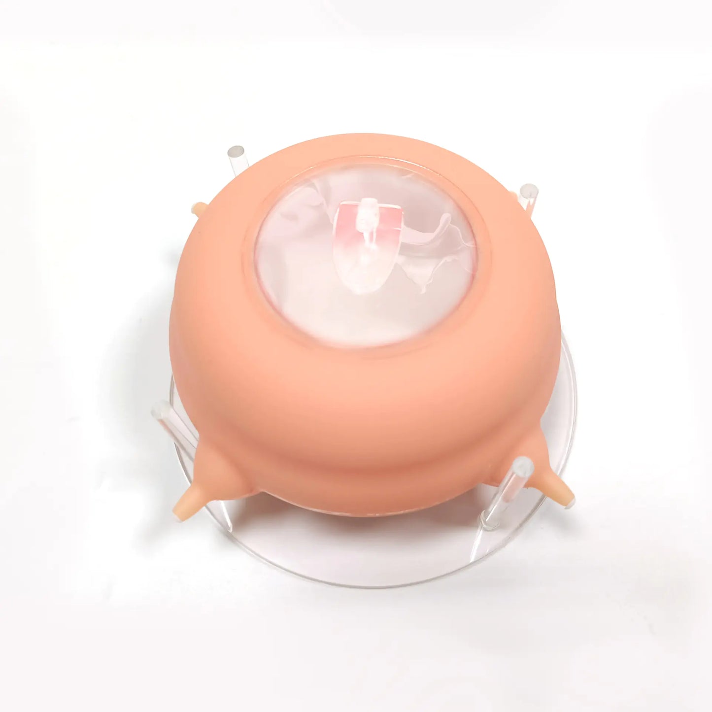 Safe Sip Pet Nursing Bottle