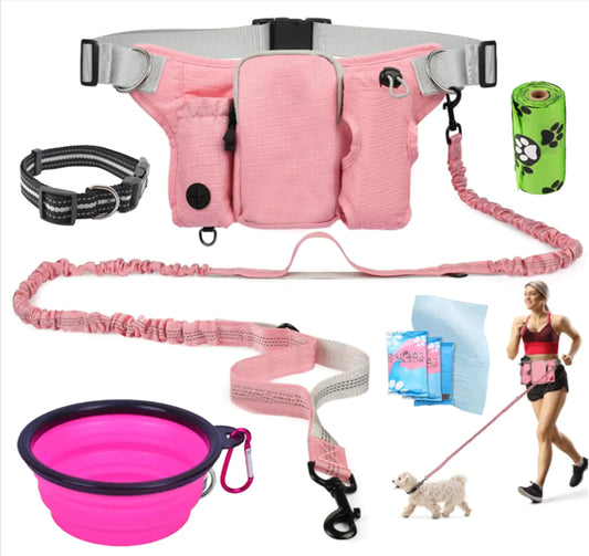 PawsFree Multi-Use Dog Walking Set