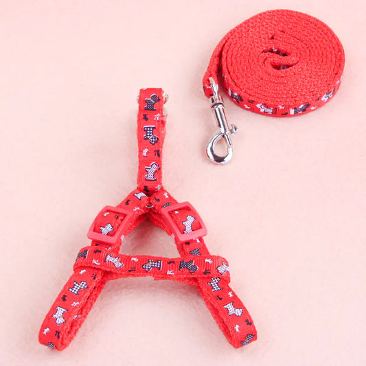 Outdoor Adventure Pet Leash Set