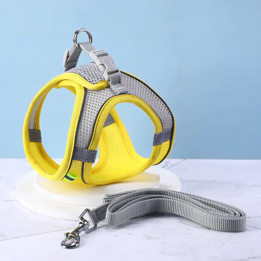 Reflective Safety Pet Harness Combo