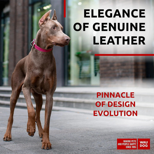 Pink Durable Leather Collar for Medium Dogs