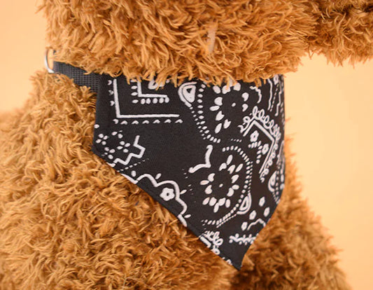 Stylish Triangle Pet Collar