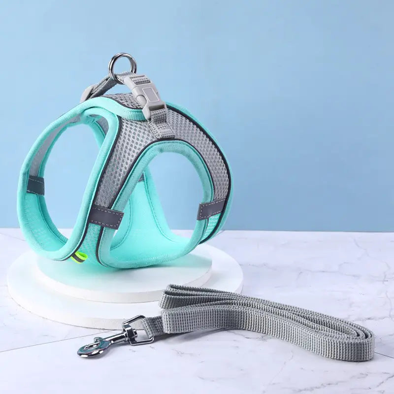 Reflective Safety Pet Harness Combo