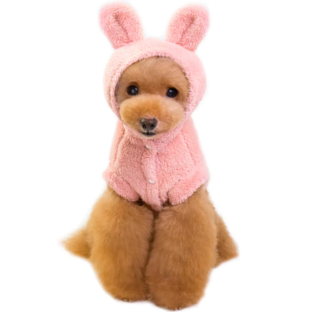 Canine Couture Coats
